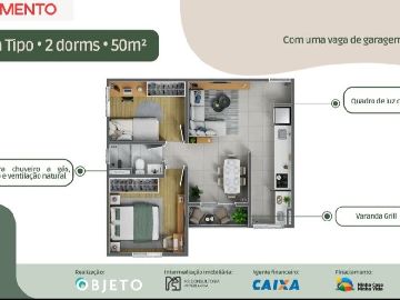 50m(2D)