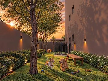 PET PLACE