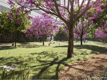 BOSQUE C/TRILHA