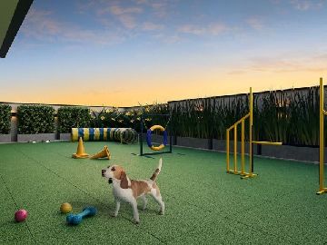 PET PLACE NA COBERTURA