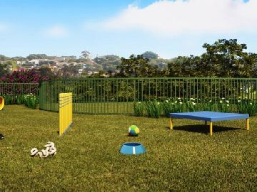 PET PLACE
