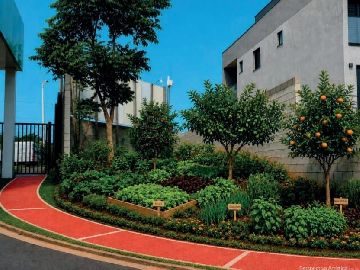 PISTA CAMINHADA