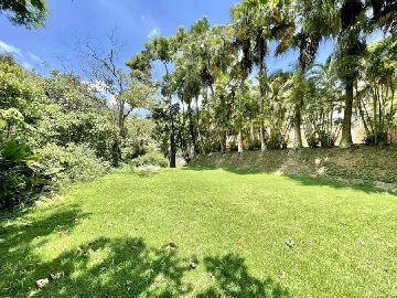QUINTAL / CAMPO GRAMADO