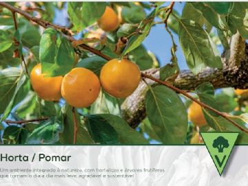POMAR