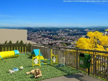 PET PLACE