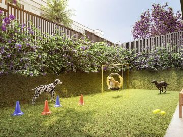 PET PLACE