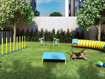 PET PLACE