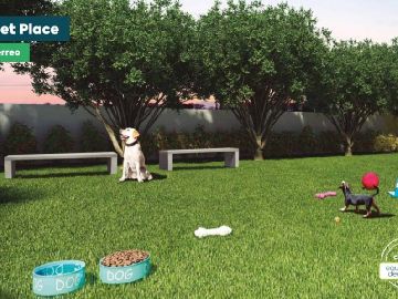 PET PLACE
