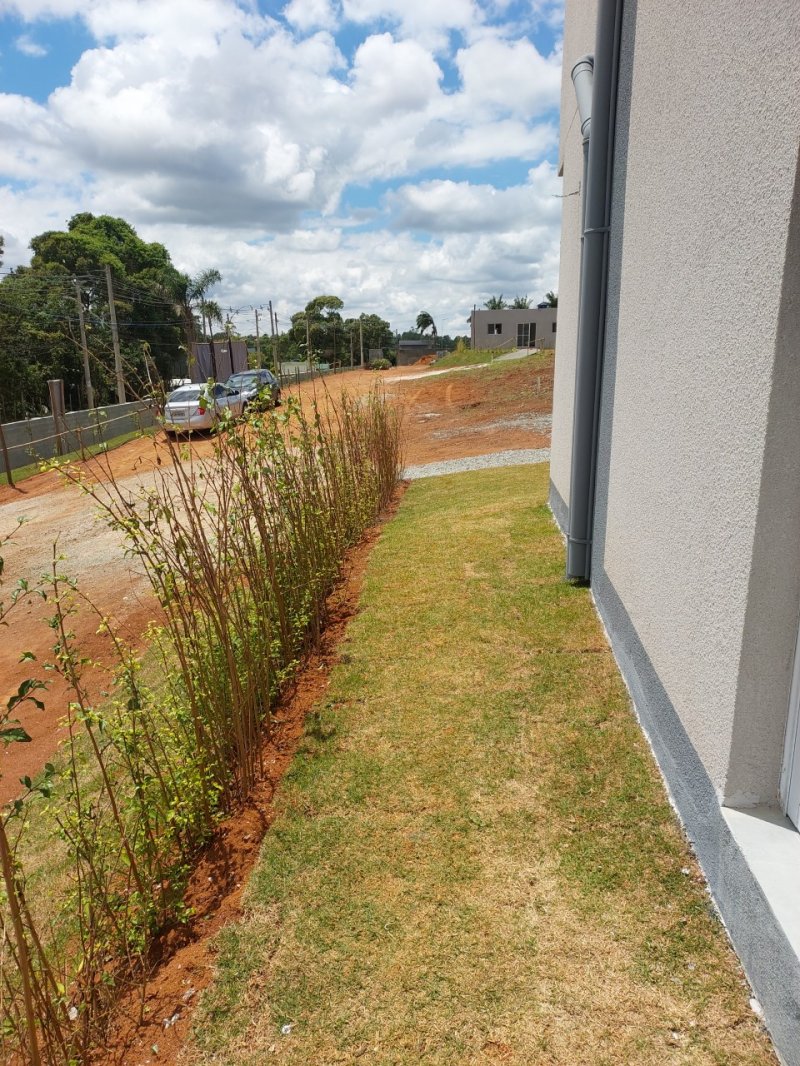 CORREDOR LATERAL(DECORADO)