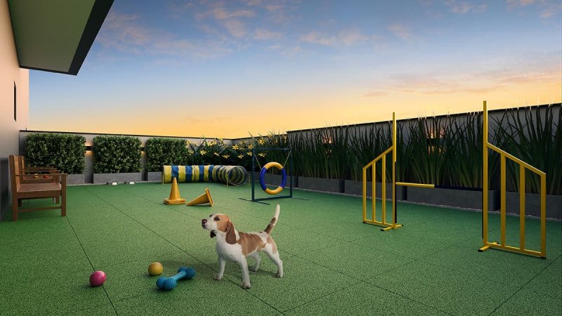 PET PLACE NA COBERTURA