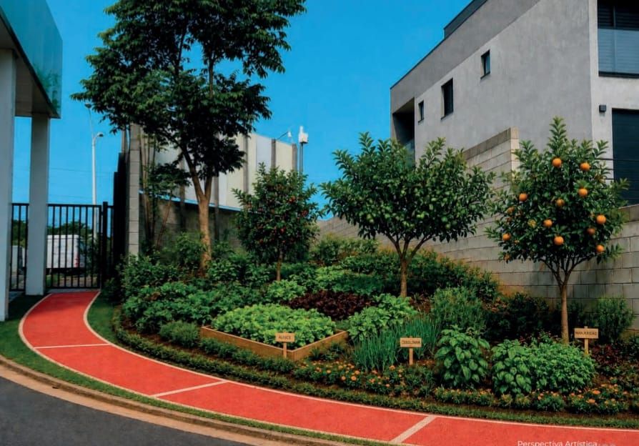 PISTA CAMINHADA