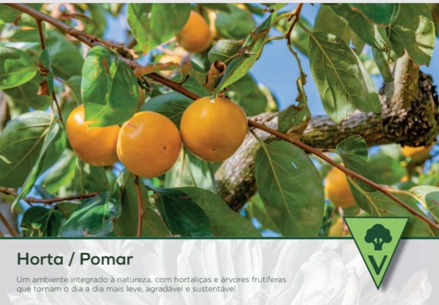 POMAR